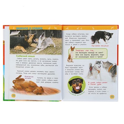 Энциклопедия для детского сада «Собаки и щенки»