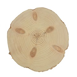 Спил сосны, шлифованный с одной стороны, диаметр 25-30 см, толщина 2-3 см