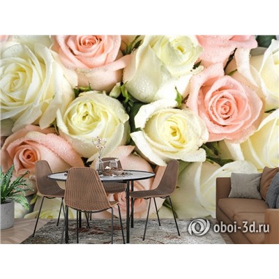 3D Фотообои «Салатово-розовые розы»