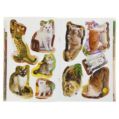 Книжка с наклейками «Кошки»