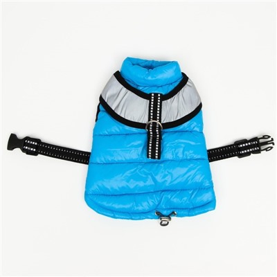 Куртка для собак со светоотражающей шлейкой,  размер 8 (ДС 23, ОГ 30, ОШ 22), голубая