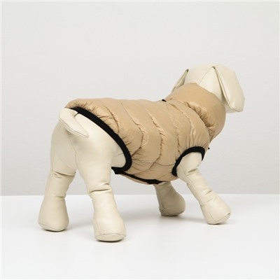 Куртка для собак двухсторонняя с воротником, ДС 24, ОШ 24, ОГ 40, бежевая/коричневая