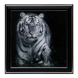 Картина "Белый тигр" 21х21см