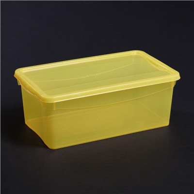 Ящик для хранения с крышкой «Колор. Стайл», 5 л, 32×19×12 см, цвет МИКС