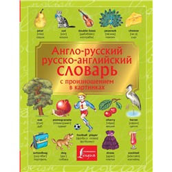 Англо-русский. Русско-английский словарь с произношением в картинках 2020
