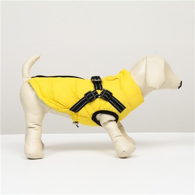 Куртка для собак со шлейкой,  размер 8 (ДС 23 см, ОГ 30 см, ОШ 22 см), лимонная