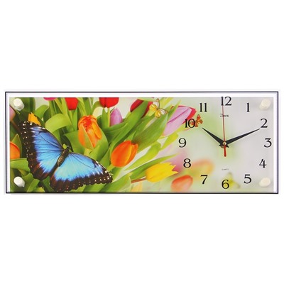 Часы настенные, серия: Цветы, "Бабочки", 50х20  см, микс