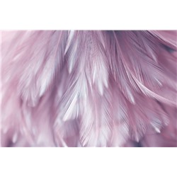 3D Фотообои «Розовая нежность»