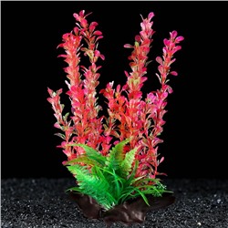 Растение искусственное аквариумное на платформе в виде коряги, 30 см, розово-зелёное