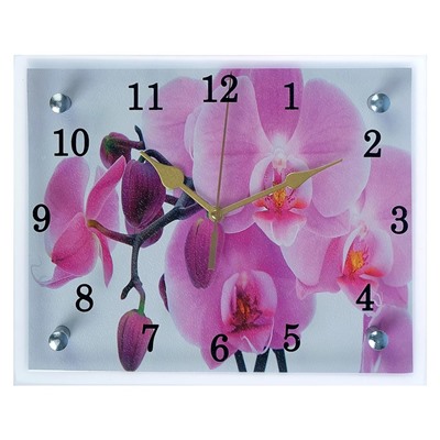 Часы настенные, серия: Цветы, "Орхидея",20х25  см, микс