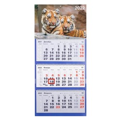 Календарь квартальный, трио "Символ года - 17" 2022 год, 31 х 69 см