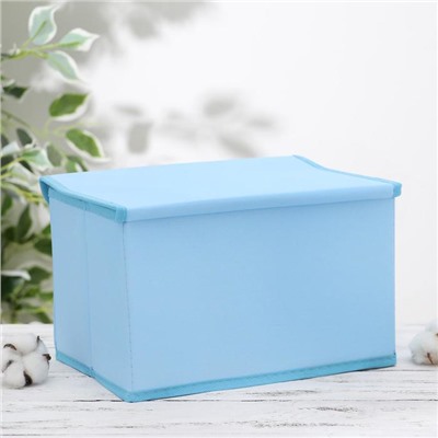 Короб для хранения с крышкой «Панда», 28×20×17 см, цвет голубой