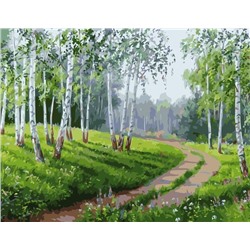 Картина по номерам 40х50 - Дорога в берёзовом лесу