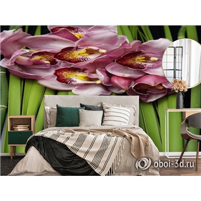 3D Фотообои «Красивые орхидеи»